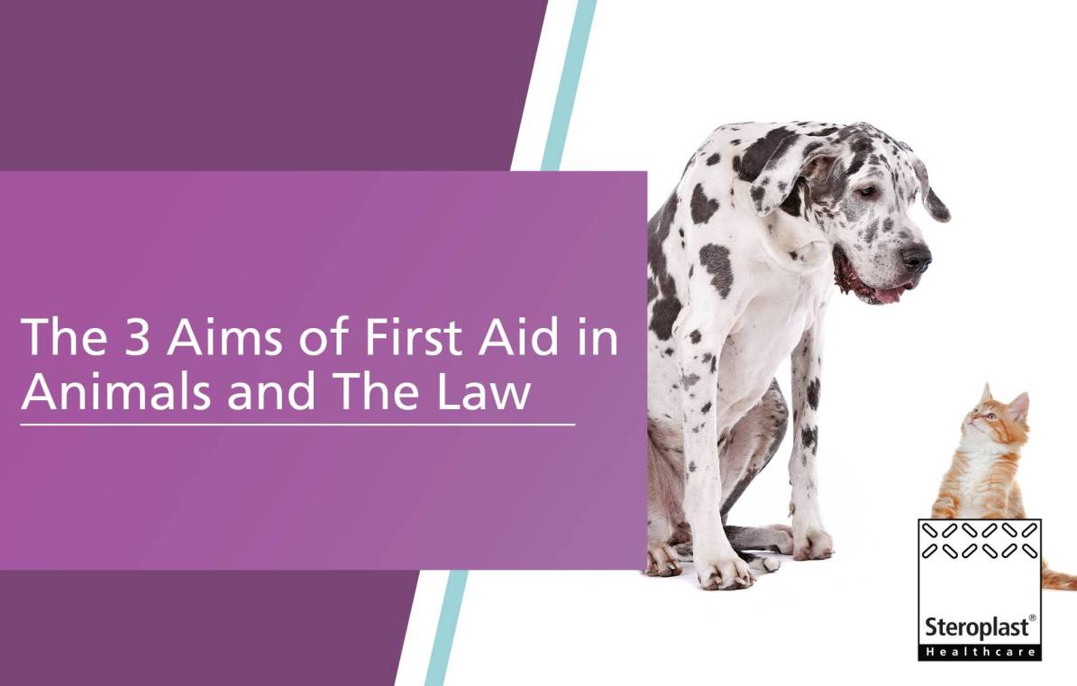 The 3 Aims of First Aid in Animals and The Law