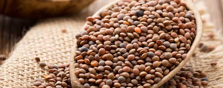 Lentils