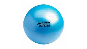 Gym Swiss Ball – 55cm Diameter – 300kg Load Rating – Anti-Burst Exercise Ball (Blue)