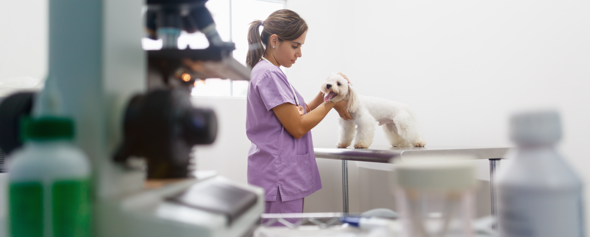Veterinary nurse with dog in clinic room