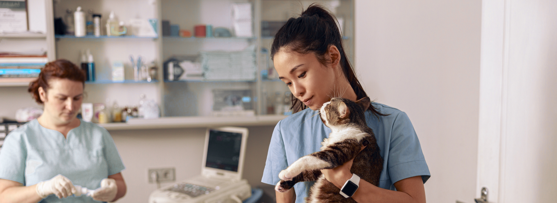 Veterinary nurses with cat