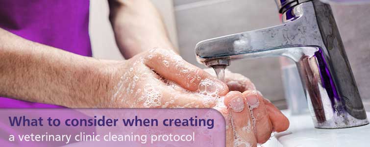 What to consider when creating a veterinary clinic cleaning protocol 
