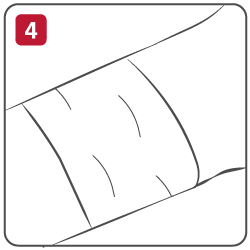 Step 4 Bandage the Wound