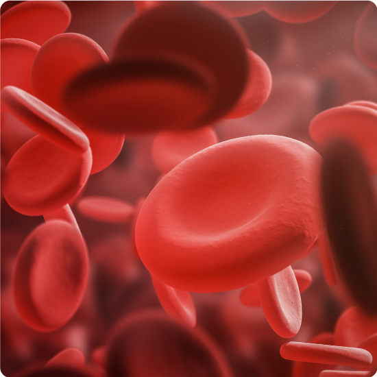 Blood Cells