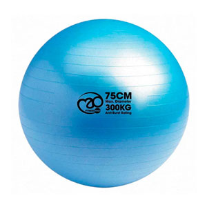 Gym Swiss Ball