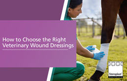 How to chosse the right veterinary wound dressing blog thumbnail