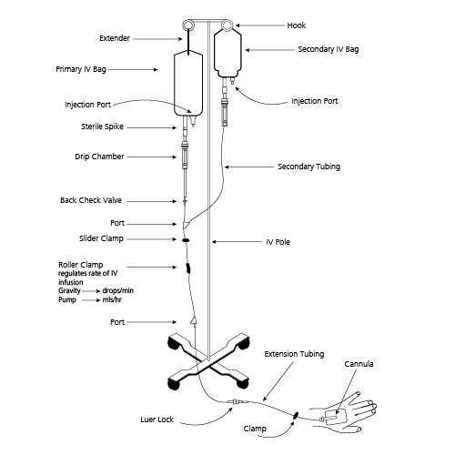 IV_Drip_diagram