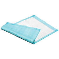 Bed Pad
