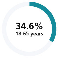 Doughnut chart showing 34.6% in teal, representing individuals aged 18-65 years.