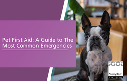 Pet First Aid: A Guide to The Most Common Emergencies