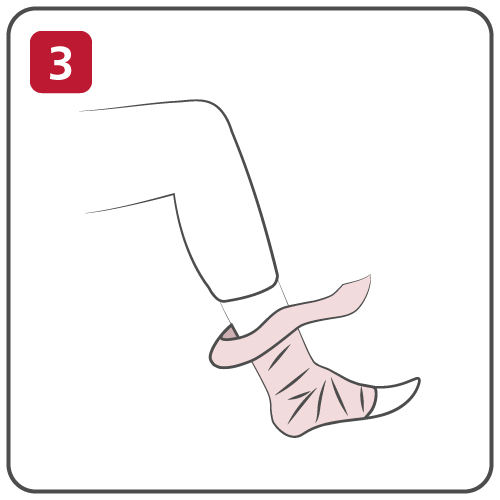 RICE03