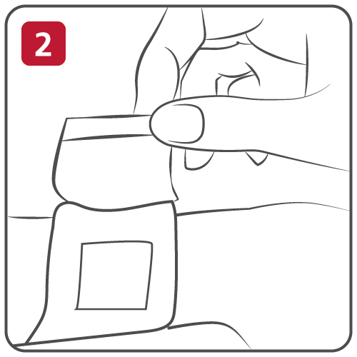 Step 2 apply the dressing