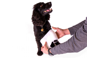 Veterinary-dressings-and-wound-care