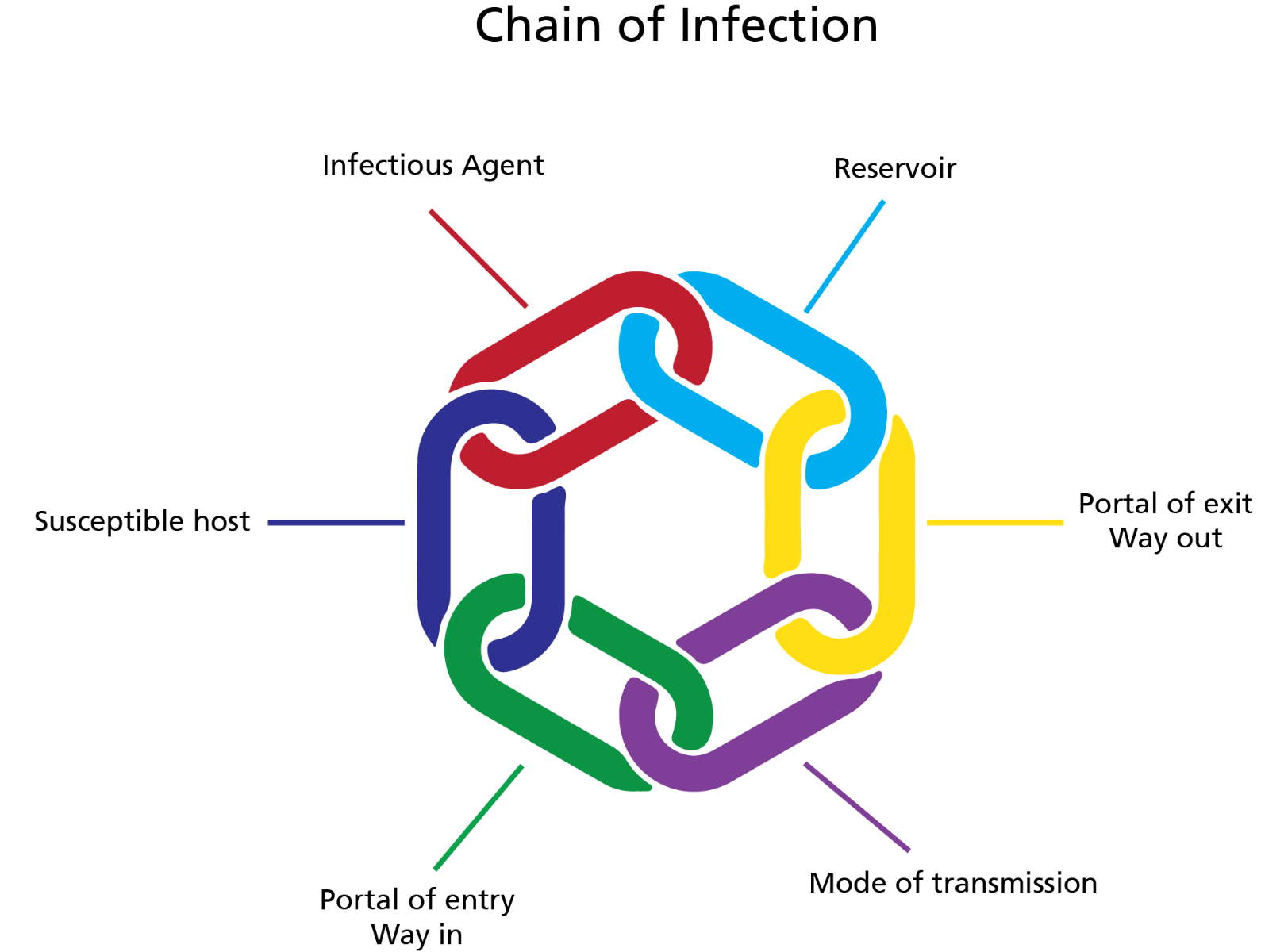 The Chain of Infection