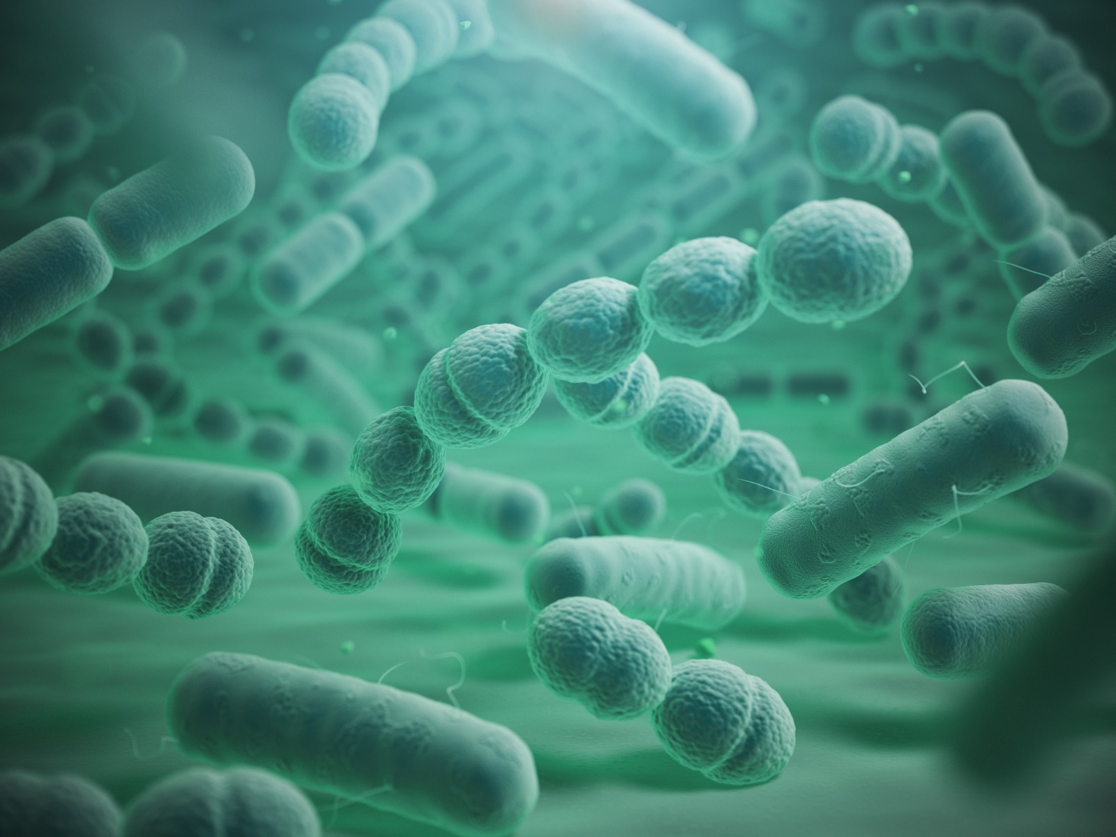 Various bacteria cells in microscope